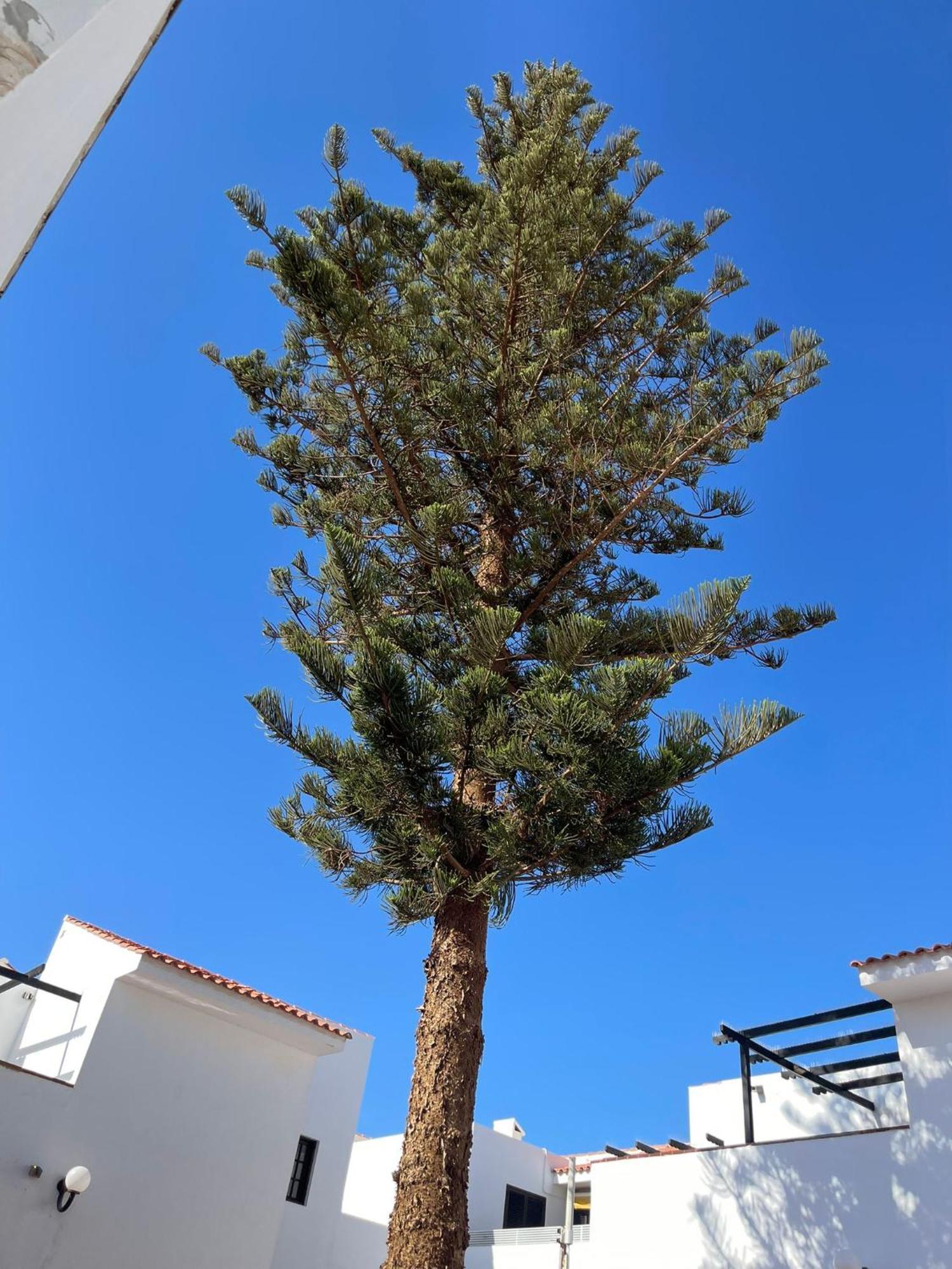 Apartamento Villa Florida 116 Caleta De Fuste Εξωτερικό φωτογραφία